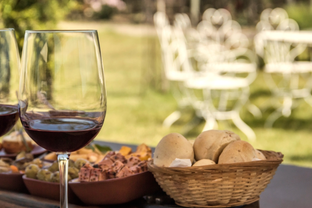 the-best-time-to-go-on-a-wine-tour-tips-and-regions-to-visit-travel