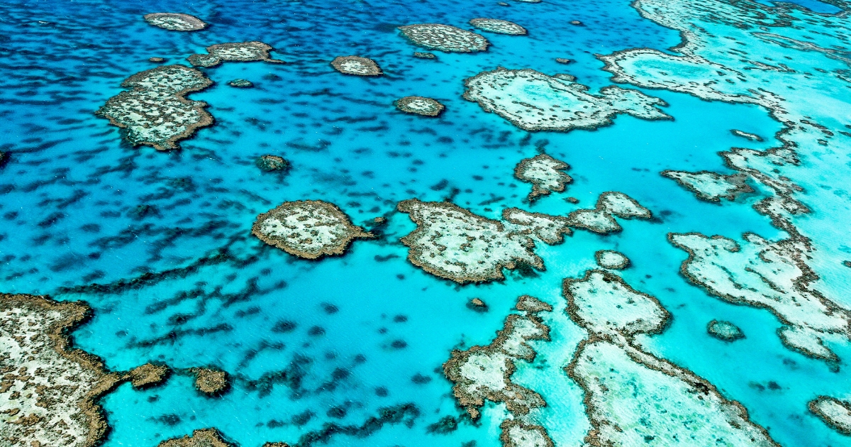 Exploring the Great Barrier Reef_ A Guide to Australia's Natural Wonder