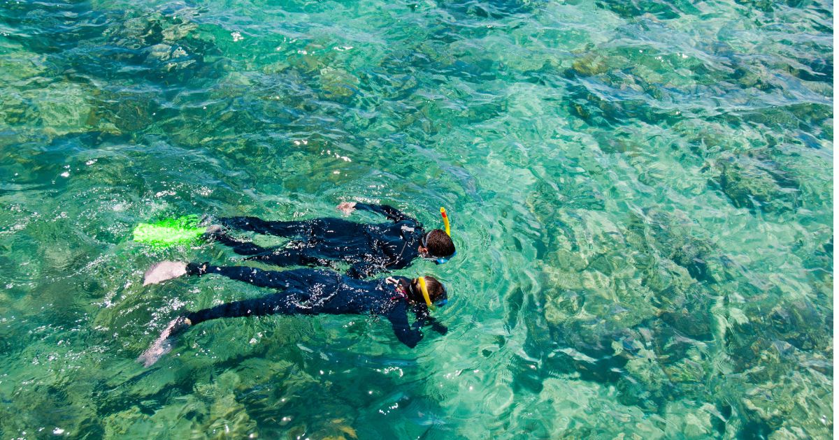 What to expect on a diving or snorkelling excursion
